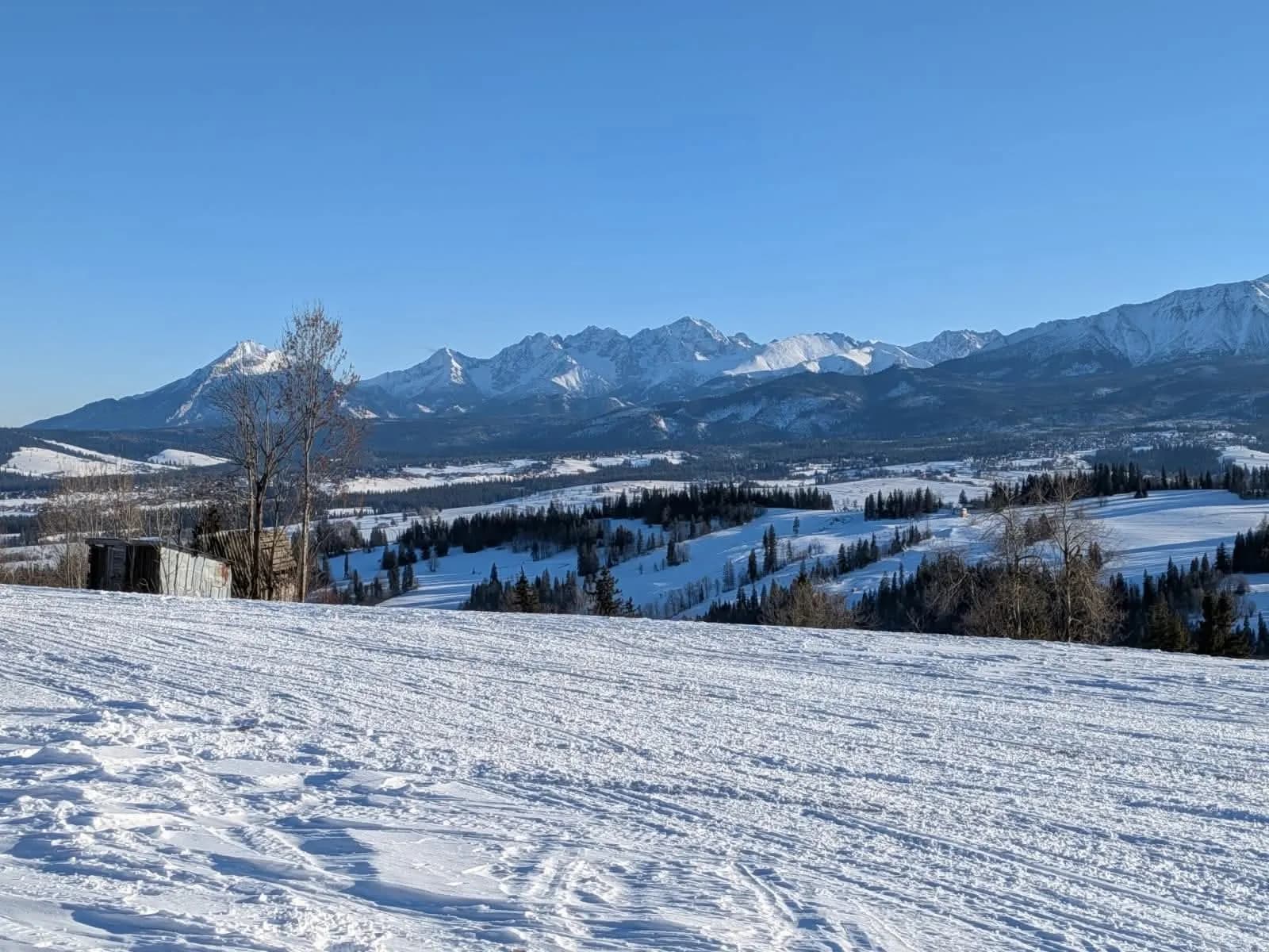 Zaśnieżone Pogórze Gubałowskie z widokiem na Tatry