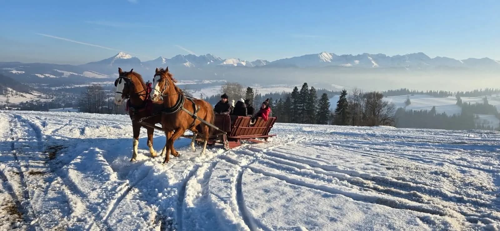 Sanie z zaprzęgiem na Pogórzu Gubałowskim, w tle panorama Tatr